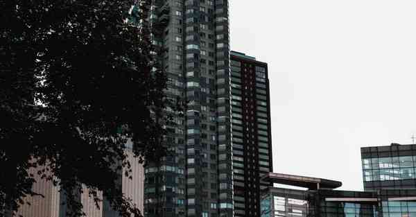 “噜噜智能AI机器人”的行业文章