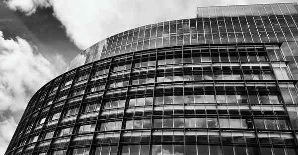 大数据显示卢本伟有多火