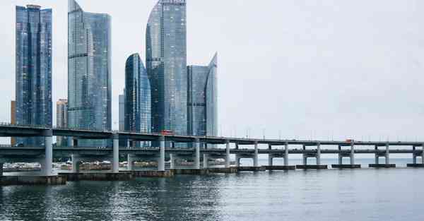 志愿填充大数据（云南志愿填充大数据）的行业文章