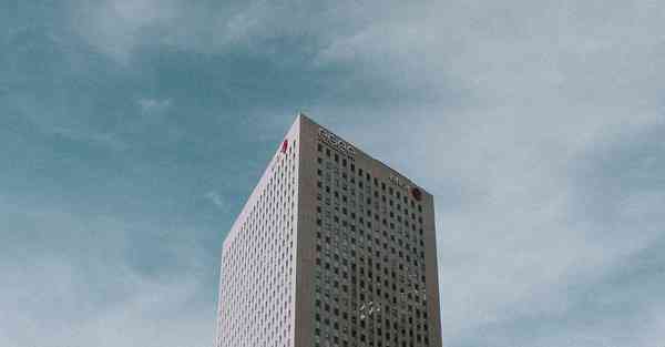 网络科学大数据：探索数字化世界的奥秘