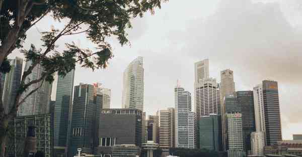 小品智能化机器人 机器人智能化发展趋势和影响