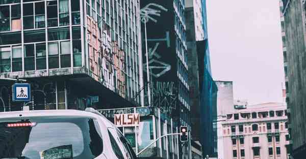 网络科学大数据：探索数字化世界的奥秘