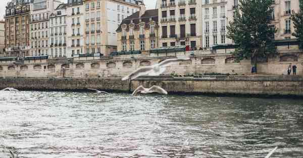 大数据品牌思维