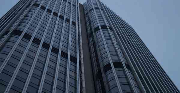 网络科学大数据：探索数字化世界的奥秘