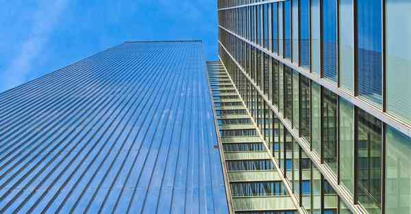 人工智能机器人配偶