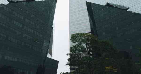 网络科学大数据：探索数字化世界的奥秘