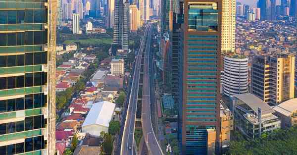 网络科学大数据：探索数字化世界的奥秘