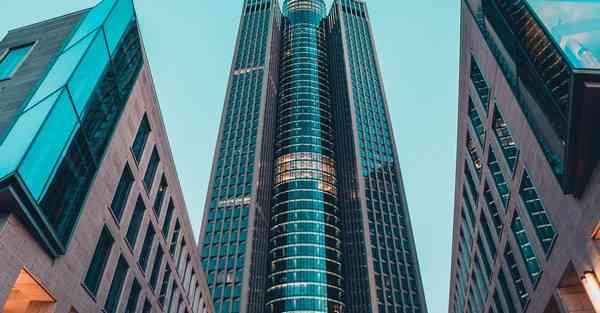 网络科学大数据：探索数字化世界的奥秘