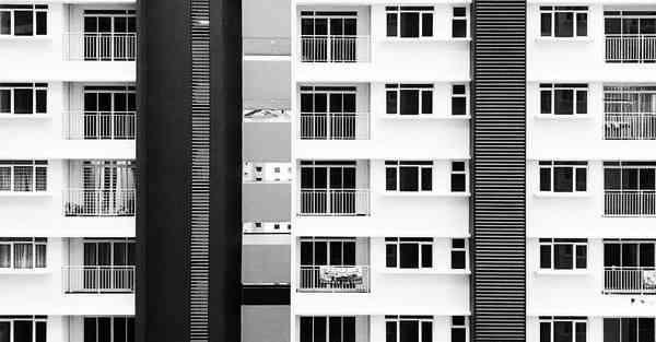 哈罗大数据最新