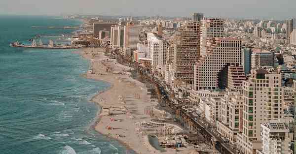 网络科学大数据：探索数字化世界的奥秘