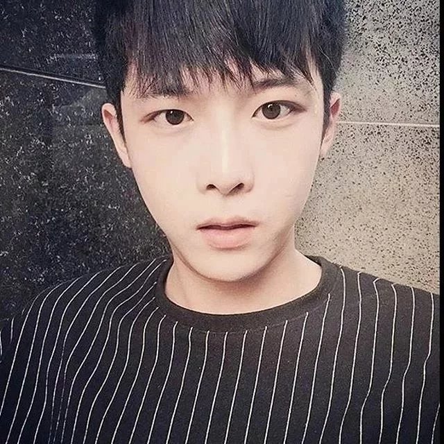 东方梁菁蝶