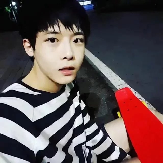 凤乐梅浩