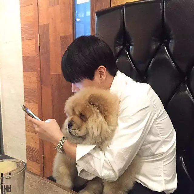 梅婷宽浩