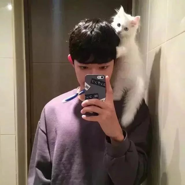 刘伊壮阳