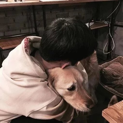 仇琪庆莎